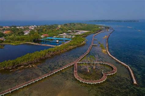 untung308|pulau 88.